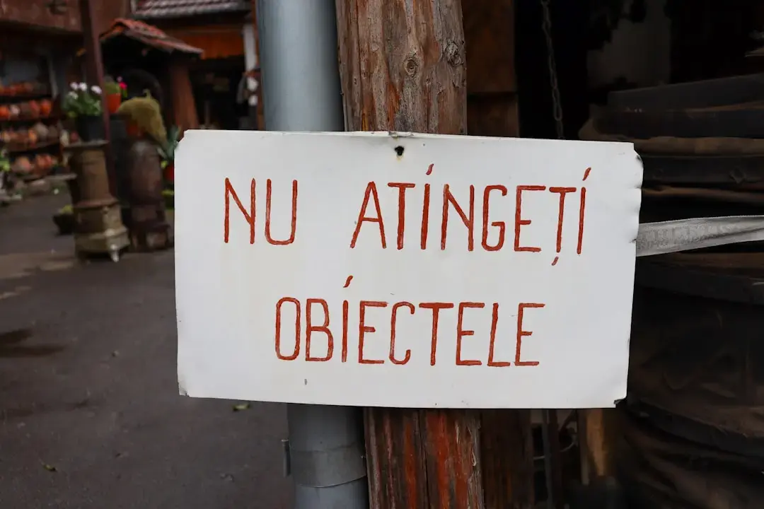 Obiecția de neconstituționalitate acceptată privind sintagma „persoana cu relații similare”