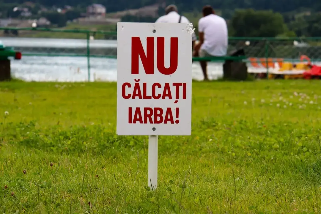 Stare de alertă la nivel național instituită pentru combaterea COVID-19
