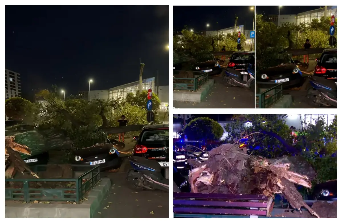 Copac de mari dimensiuni căzut peste trei mașini și un motociclist la semafor în Sectorul 6