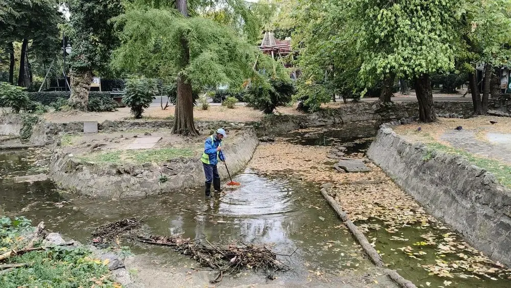 De ce recomandă Primăria să nu strângi toate frunzele din parc?