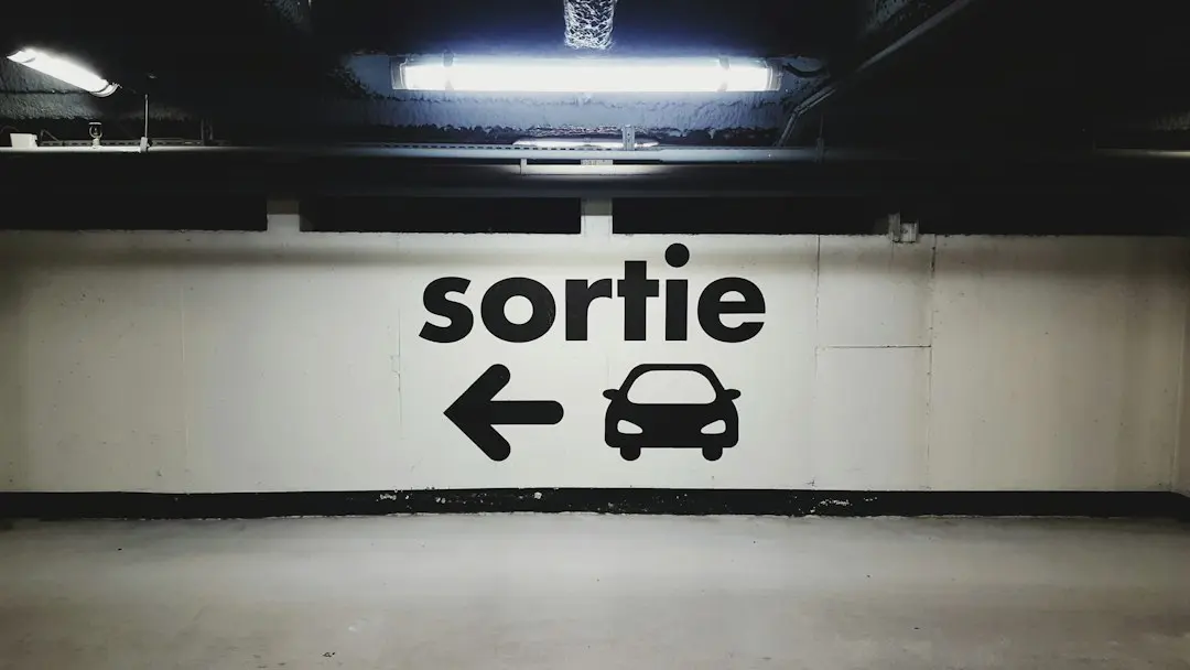 Dominic Fritz trebuie să demisioneze din fruntea USR
