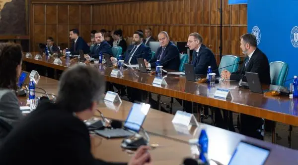 Ioana Dogioiu: Scaunul premierului a dispărut, Niculescu se amestecă printre miniștri