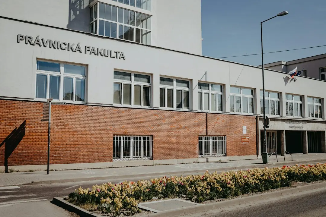 Lichidarea voluntară a firmelor: ghid practic contabil și fiscal