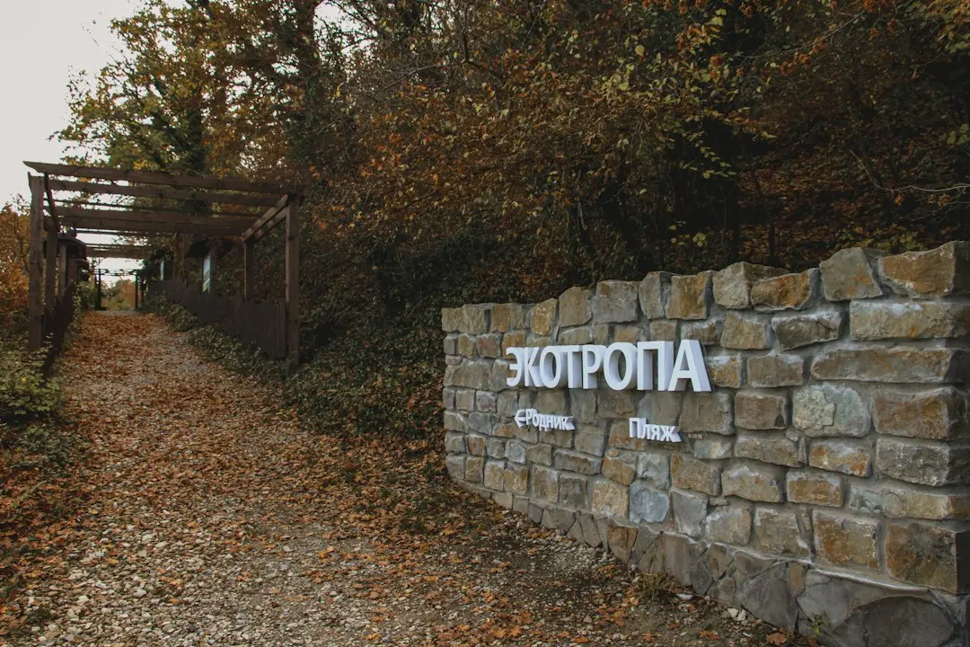Mitropolitul Dositei Filitti și eforturile de a moderniza evidența nașterilor și deceselor