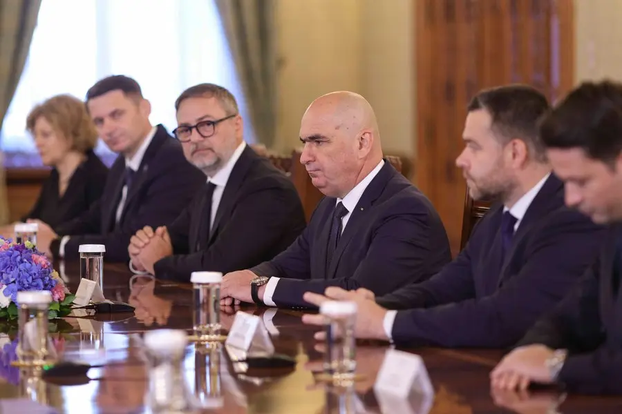 PNL în criză: lideri refuză să sprijine Guvernul Niculescu