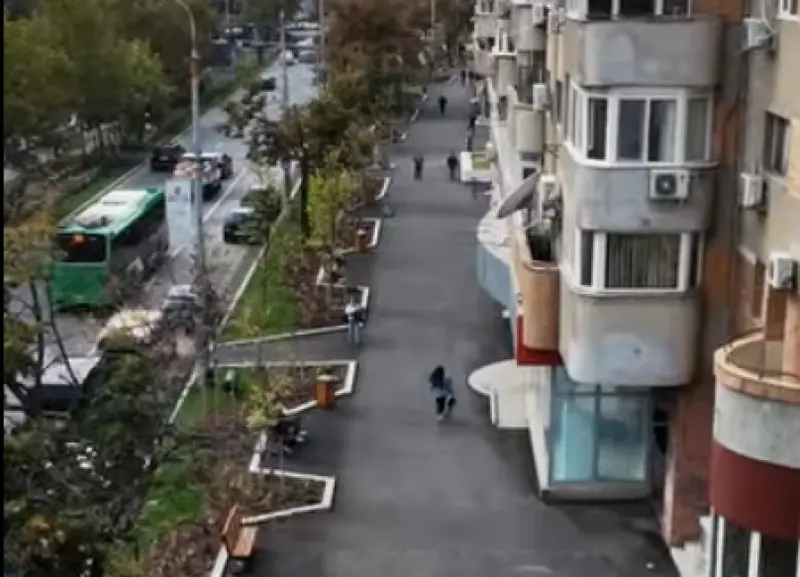 Primăria București reînnoiește Calea 13 Septembrie cu plante, arbuști și bănci pentru turiști