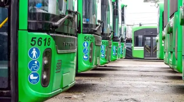 Remus Borza acuză hoția și prostia la STB: șoferii pleacă cu 2500 euro în mână