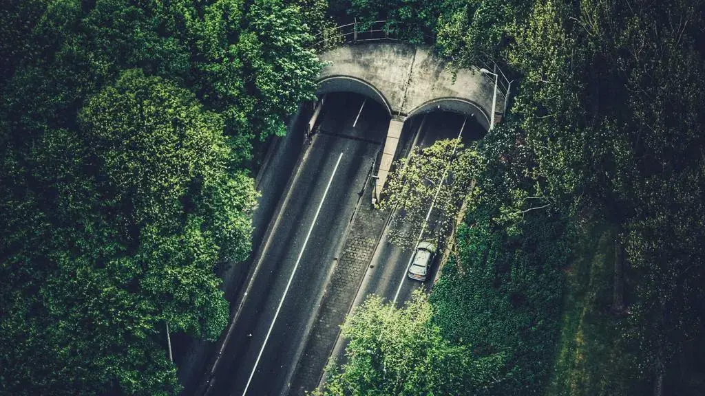 Șefă nouă la Direcția Națională de Probațiune, numită fără concurs public